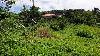 Resiential Lot for Sale in Brgy. Iruhin, Tagaytay